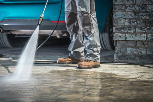 Best Animal Enclosure Cleaning  in Canyon Lake, TX